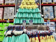 -山姆会员商店(上海浦东店)