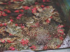 大堂-九层海鲜塔(市南店)