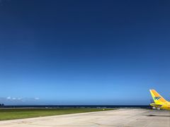 -白沙滩