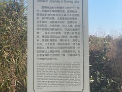 -四明湖