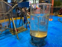 -中国杭州低碳科技馆