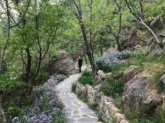 -北京水岸山吧度假村(雁栖镇店)