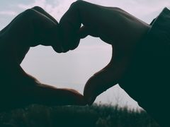 -合肥滨湖国家森林公园