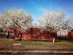 -永定河休闲森林公园