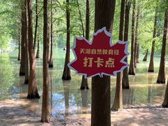 -广州市帽峰山景区