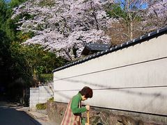 -岚山嵯峨野观光小火车