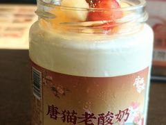 -唐猫庭院·千年陕菜(赛格国际购物中心店)