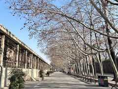 -秦始皇帝陵博物院(兵马俑)