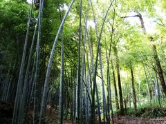 -杭州黄龙洞