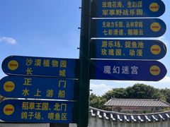 -松山湖梦幻百花洲