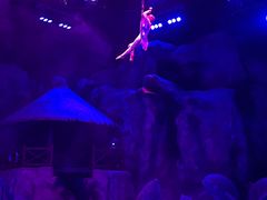 -芜湖新华联大白鲸海洋公园