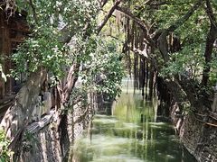 -麦当劳(南后街店)