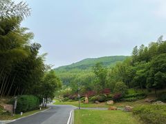 -牛首山文化旅游区