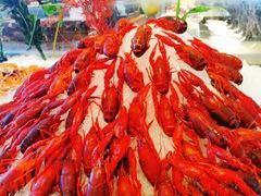 -嘉兴华美达酒店(秦逸路店)