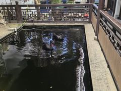 -湖鲜楼