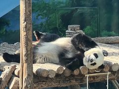 -大连森林动物园