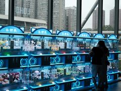 -布吉佳兆业广场