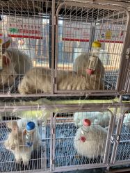-小蜜蜂农场(凯德七宝购物广场店)