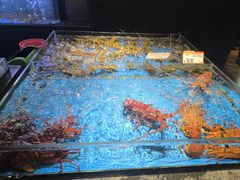 -徐记海鲜(大雁塔|金都店)