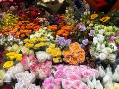 -朝来春花卉市场