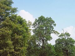 -南湖湿地公园