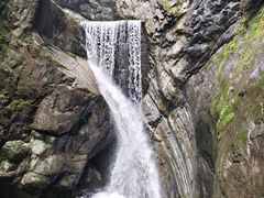 -牛背梁国家森林公园