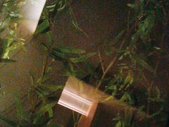 -涨巢·潮玩水疗局