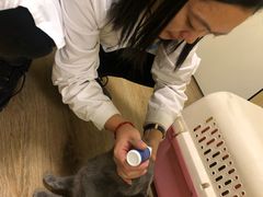 -派联宠物医院·24h·CT·异宠