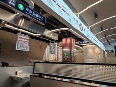 -敏华冰厅(平安金融中心店)