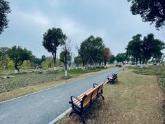 -九科绿洲
