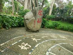 -瑞丽独树成林风景区