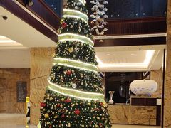 -厦门国际会议中心酒店(环岛路酒店)