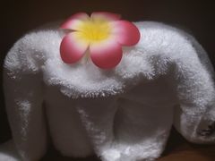-泰馨玺·正宗泰式按摩SPA(石皮路店)