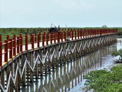 -北海金海湾红树林生态旅游区