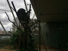 -威勒比开放式动物园