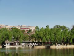 -团结湖公园