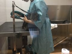 -Pets First伊珊娜洗护·精致美容·家庭式寄养(新会路店)