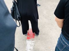 -东兴口岸-中越友谊大桥