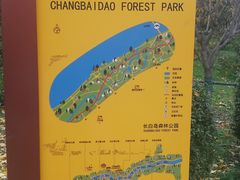 -长白岛森林公园