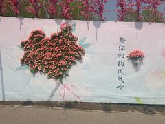 -北京凤凰岭