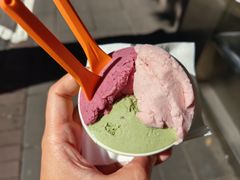 杨梅乳酪-Dip in Gelato(富民路店)