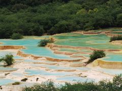 -黄龙山原始森林景区