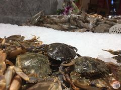 -九寸花汀(摩天活力城店)
