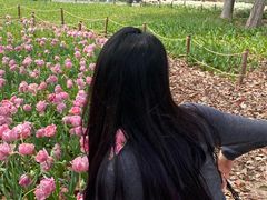 -上海鲜花港