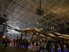 -世界恐龙谷景区