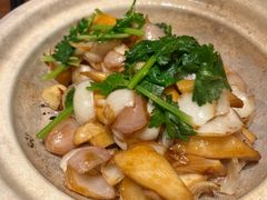 -觅唐MITONG(鸟巢店)