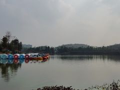 -枫香湖儿童公园