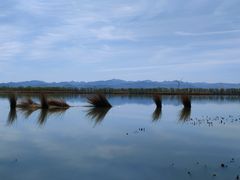 -野鸭湖国家湿地公园