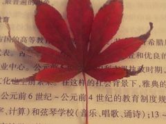 -陕西师范大学(雁塔校区)
