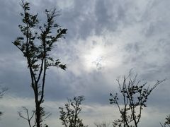 -盐城丹顶鹤湿地生态旅游区